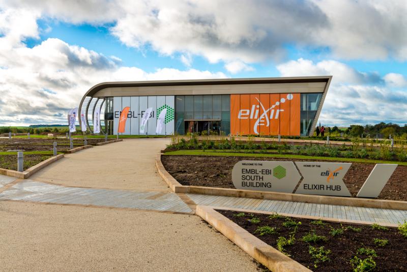 New building New building